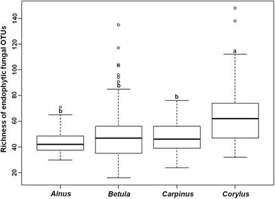 Community Assembly of Endophytic Fungi in Ectomycorrhizae of Betulaceae Plants at a Regional Scale